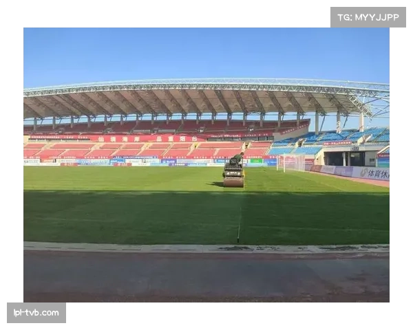 明尼苏达联主场草皮受损紧急维护 启用备用场地确保比赛顺利进行